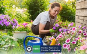 Curso de Instalación, Mantenimiento de Parques y Jardines